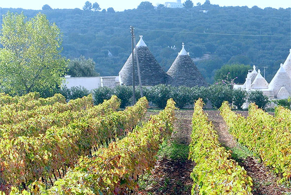 Vini di Puglia